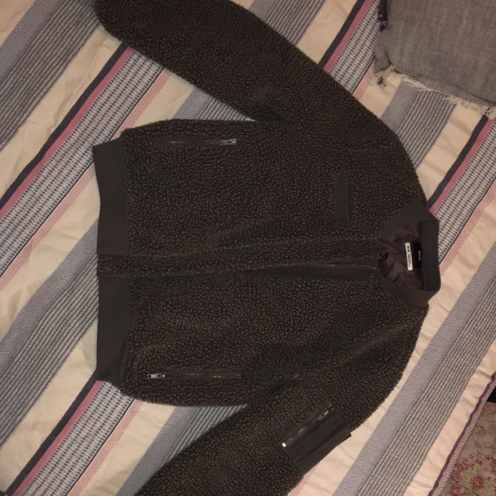 Teddy bear bomber
